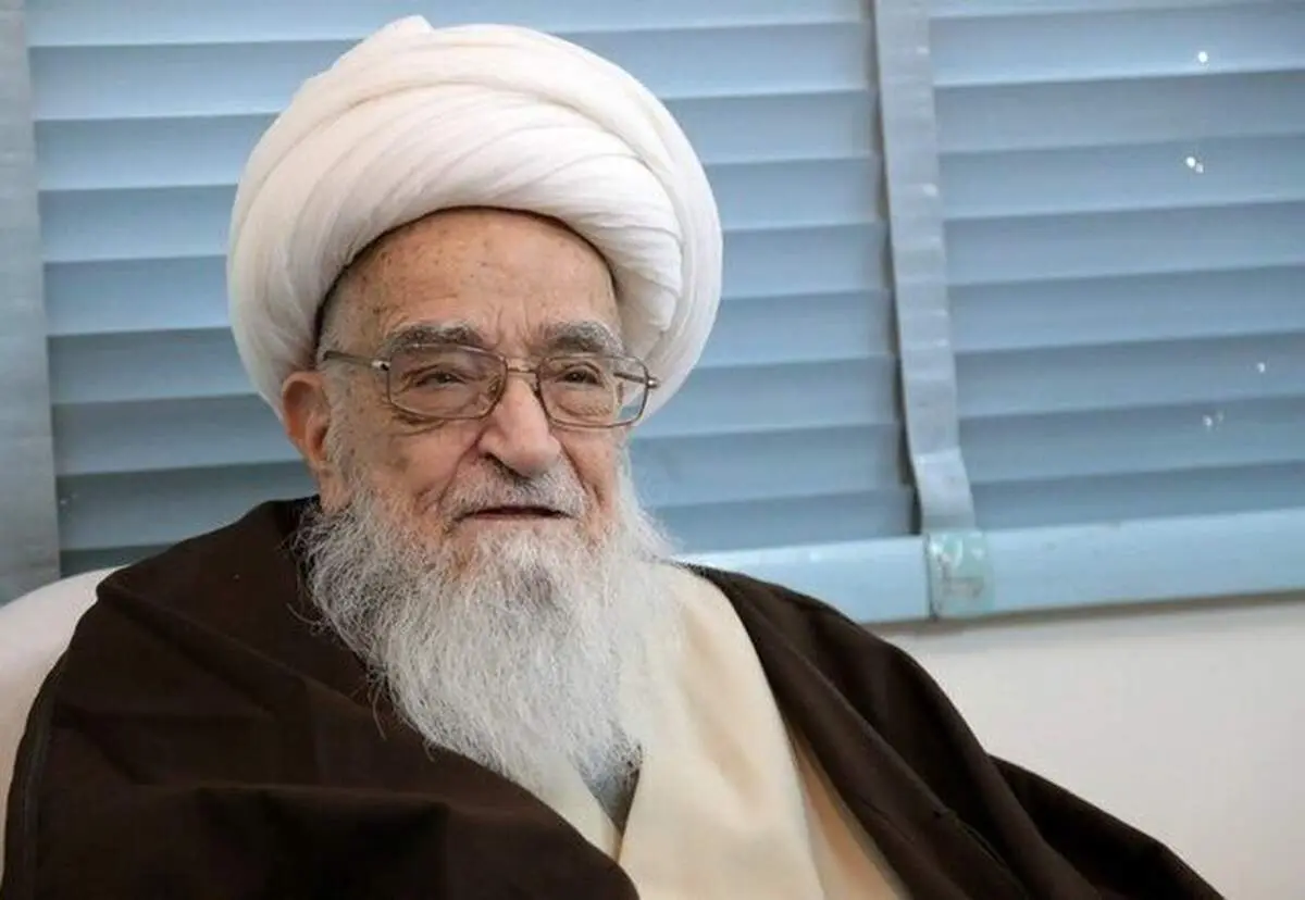 پیکر آیت الله صافی وارد نجف اشرف شد 
