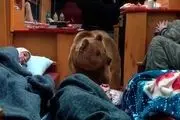 سه نکته جذاب و تماشایی سریال پایتخت دیشب که همه درباره‌اش حرف می‌زنند!