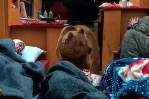 سه نکته جذاب و تماشایی سریال پایتخت دیشب که همه درباره‌اش حرف می‌زنند!