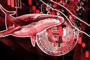 نهنگ‌ها نزول دوباره بیت‌کوین را در سر دارند