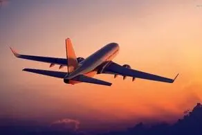 ماه عسل زوج 80 ساله پر دردسر شد+ عکس