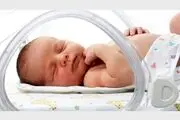 نوزادی عظیم‌الجثه که لباس پدرش را می پوشد + فیلم