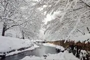 بارش برف شدید شنبه (۱۶ اسفند) در این شهرها