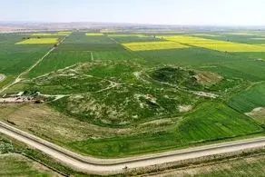 کشف یک گنج تازه در غرب ایران