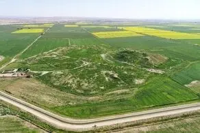 کشف یک گنج تازه در غرب ایران