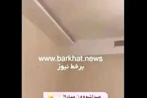 ویدیو جنجالی| کولاک جدید مجری زن صداوسیما با حرکات موزون/ انجام رقص با صدای آهنگ همسایه!