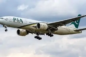 تلاش این مرد احمق برای پیاده شدن از هواپیما حین پرواز!+فیلم