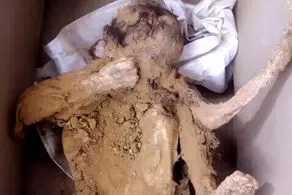 پیدا شدن اجسادِ ظاهرا مومیایی شده در ایران