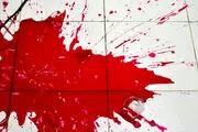 نویسنده رمان «چگونه شوهر خود را به قتل برسانیم» شوهرش را بعد27 سال زندگی مشترک کشت/ تصویر