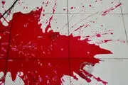 نویسنده رمان «چگونه شوهر خود را به قتل برسانیم» شوهرش را بعد27 سال زندگی مشترک کشت/ تصویر