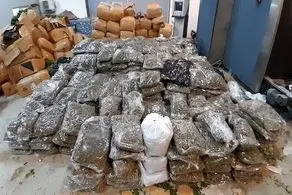 نام‌های عجیب و غریب مخدرهای تازه که خبرساز شد