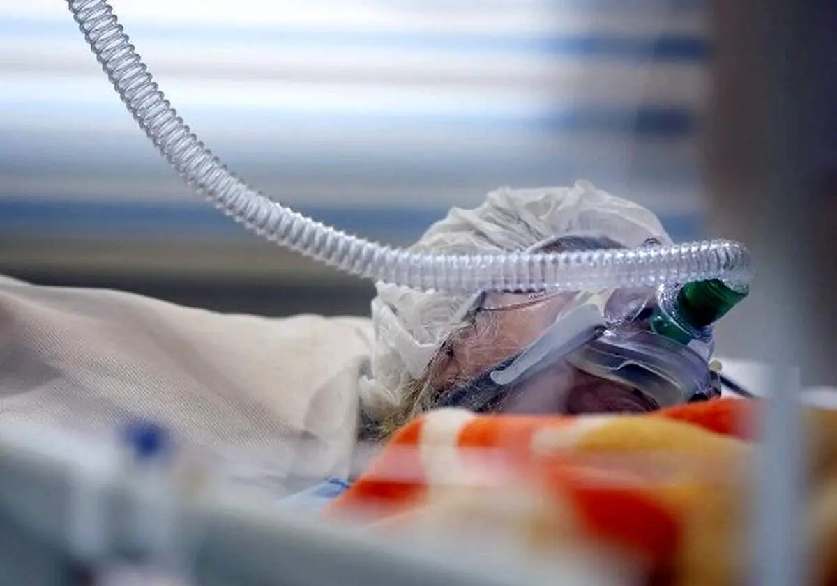 بلای وحشتناک مشروبات تقلبی بر سر 29 پزشک شیرازی