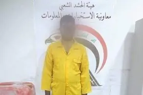 عنصر مهم داعش به دام افتاد+جزییات