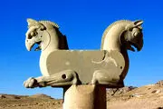 پرنده همای سعادت در روی تخت جمشید نشست؛ واقعیت چیست؟/ عکس
