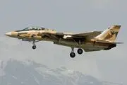 ویدیوی دیگر از لحظات ابتدایی سقوط F14 ارتش در اصفهان/ ببینید 