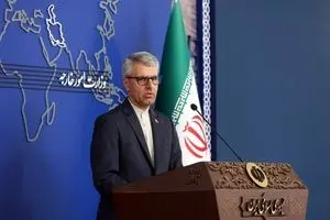واکنش ایران به حمله پلیس هلند به همسر باردار مرد فلسطینی