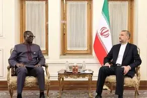 جزئیات دیدار یک مقام از آفریقای مرکزی با وزیر خارجه ایران