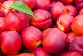 خواص باورنکردنی این میوه تابستانی/به راحتی فشار خون خود را تنظیم کنید!