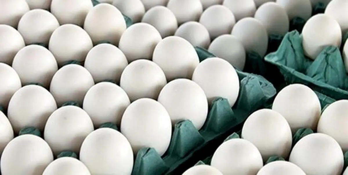 خبر خوش برای تولیدکنندگان مرغ و تخم مرغ