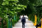 هوا خنک می شود/ بارش شدید در این مناطق تهران از امروز پنجشنبه