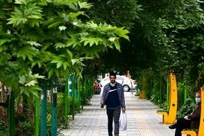 سرما به تهران بازگشت/ بارش شدید امروز یکشنبه در این استانها