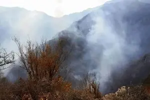 ۸ بالگرد و هواپیماهای ایلوشن مشغول اطفای حریق الیت هستند