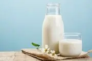 شیر سوسک 4 برابر مغذی تر از شیر گاو!