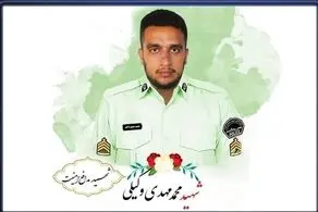 حکم قصاص قاتل شهادت مامور نیروی انتظامی در چهارباغ اجرا شد  + عکس 