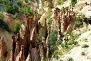 سنگ شدن عجیب تمام مهمانان، عروس و داماد در این عروسی+عکس
