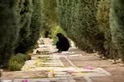 مادری که 17 سال سر قبر پسرش زندگی کرد!