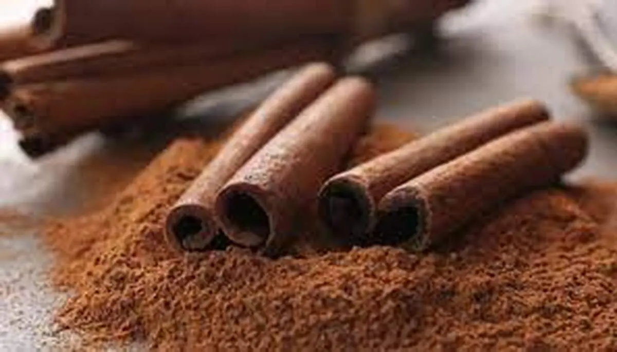 فواید و مضرات دارچین چیست؟