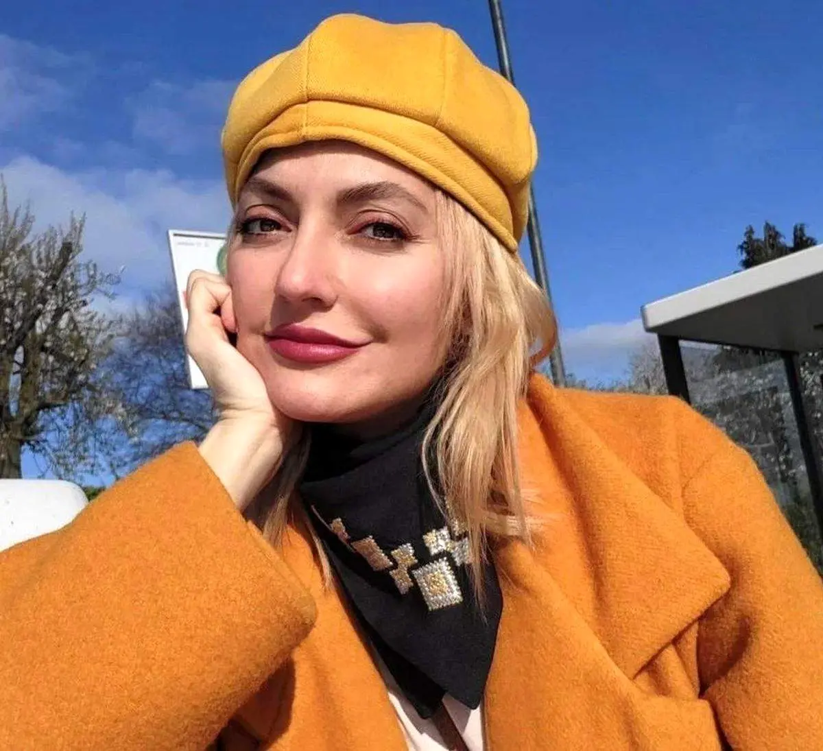 مهناز افشار بر علیه پژمان جمشیدی استوری گذاشت!/ عکس