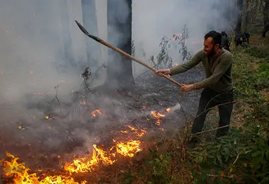 واکنش جبهه اصلاحات به آتش سوزی در جنگل های شمال 