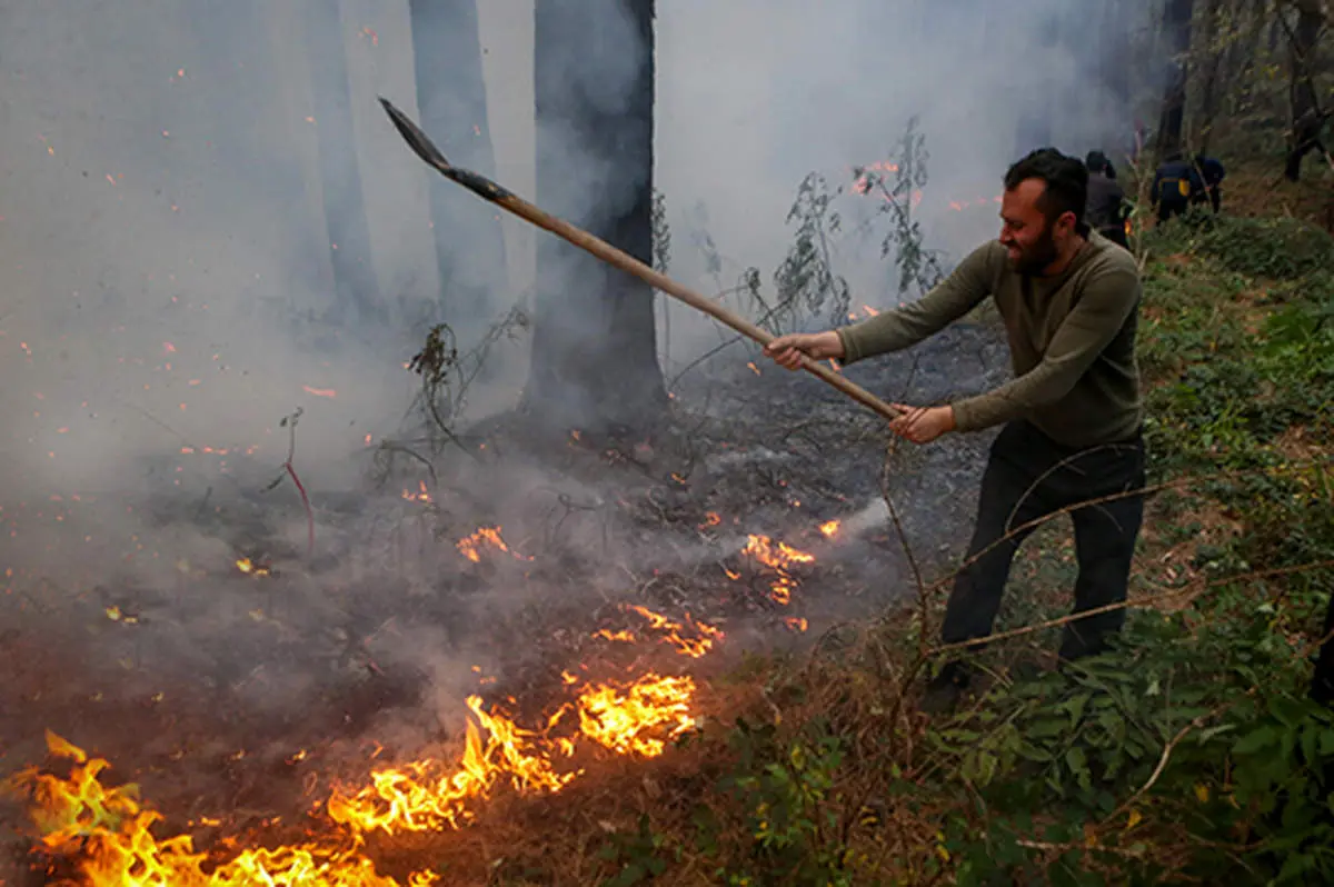 واکنش جبهه اصلاحات به آتش سوزی در جنگل های شمال 