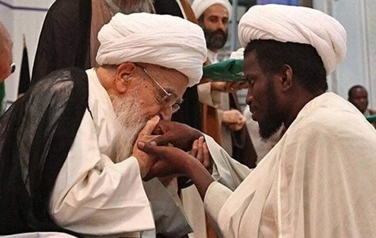 عکس تاریخی از آیت الله صافی گلپایگانی/ ببینید