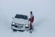 سرنوشت عجیب و ترسناک ۱۵ خودروی گرفتار شده در بهمن جاده چالوس

