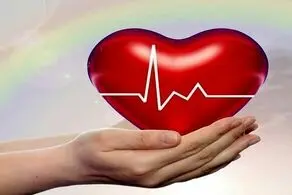 کودک ۴ ساله مرگ مغزی، فرشته نجات ۳ بیمار نیازمند به عضو شد