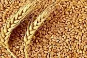 فرمول تعیین قیمت گندم اعلام شد