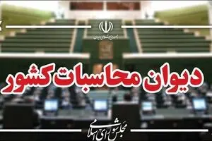فعالیت ۱۲۴ حساب ارزی دستگاه‌های اجرایی خارج از حساب واحد خزانه است 