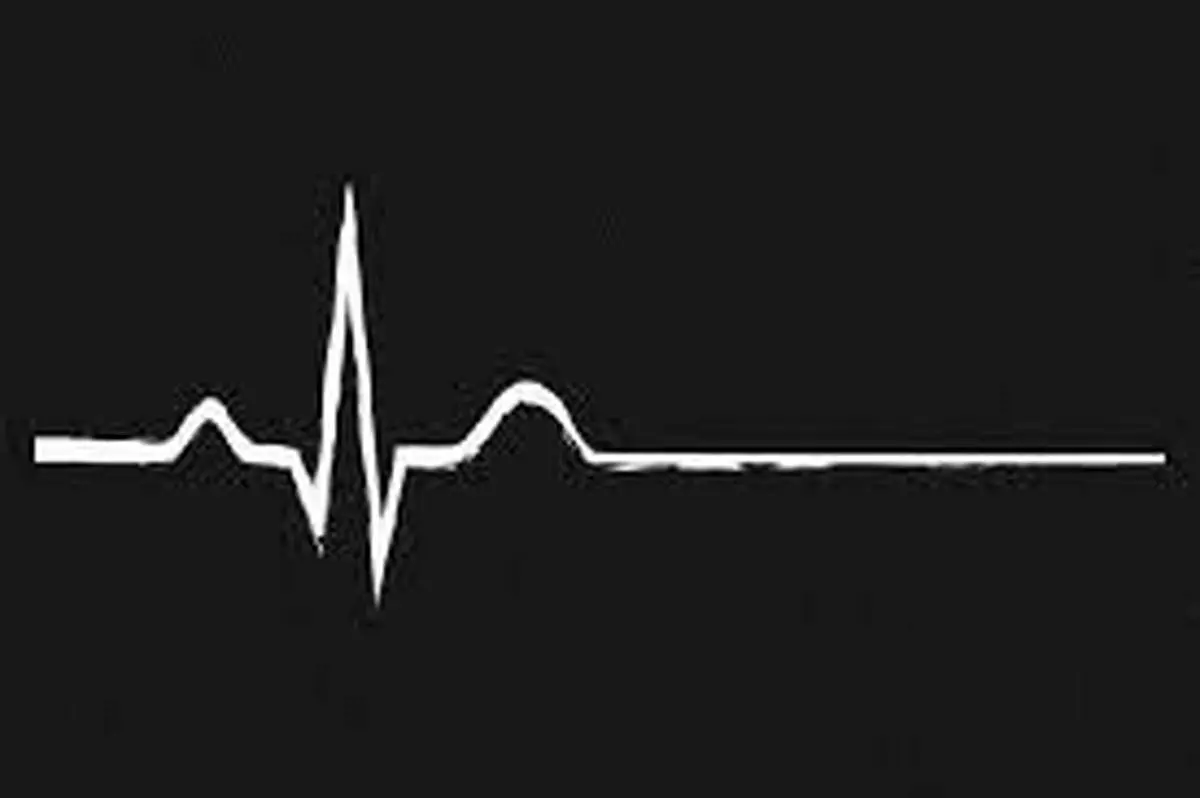 بلایی که این زن وحشتناک گربه ای سر عشقش آورد+ عکس