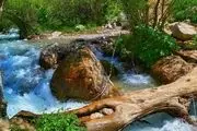 جاذبه‌های گردشگری روستای آبنیک فشم