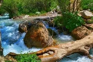 جاذبه‌های گردشگری روستای آبنیک فشم