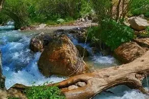 جاذبه‌های گردشگری روستای آبنیک فشم