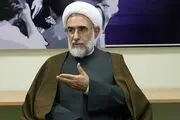 منتجب نیا: راهکار همه پرسی است