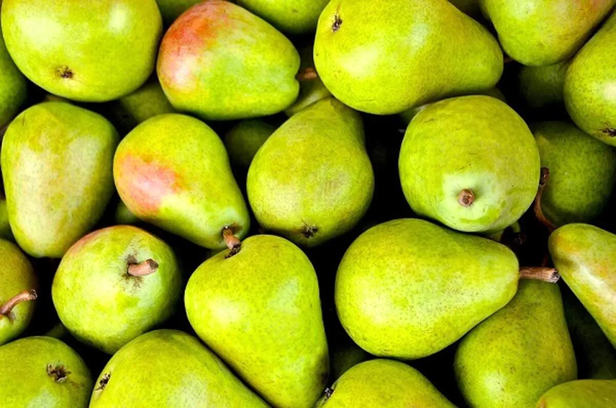 معجزه این میوه‌ در درمان فشار خون
