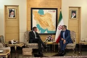 سفر مهم دیپلمات آرژانتینی در ایران/ گروسی وارد تهران شد 