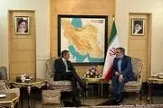 سفر مهم دیپلمات آرژانتینی در ایران/ گروسی وارد تهران شد 