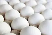 قیمت تخم مرغ دوباره اوج گرفت