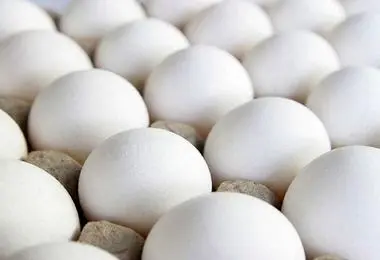 قیمت جدید تخم‌مرغ اعلام شد