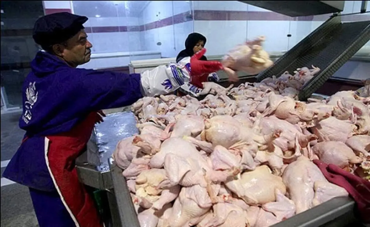 سود باورنکردنی دلالی مرغ و تخم مرغ